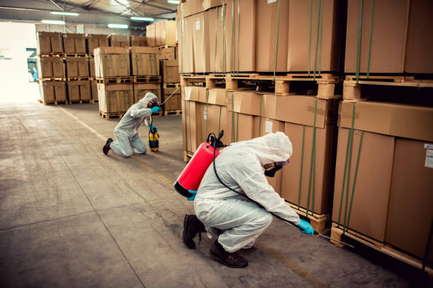 Best Bed Bug Extermination  in Dinuba, CA