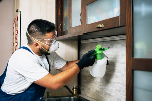 Best Emergency Pest Control  in Dinuba, CA
