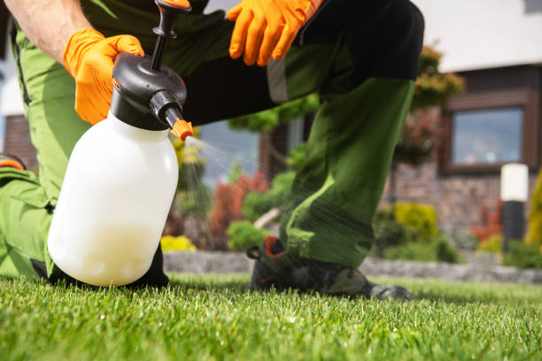 Best Pest Control for Homes  in Dinuba, CA