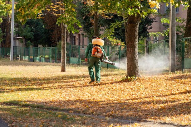 Best Flea Control Services  in Dinuba, CA