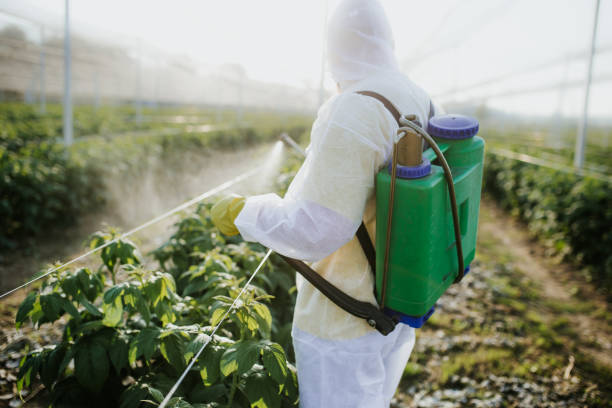 Best Spider Control Near Me  in Dinuba, CA